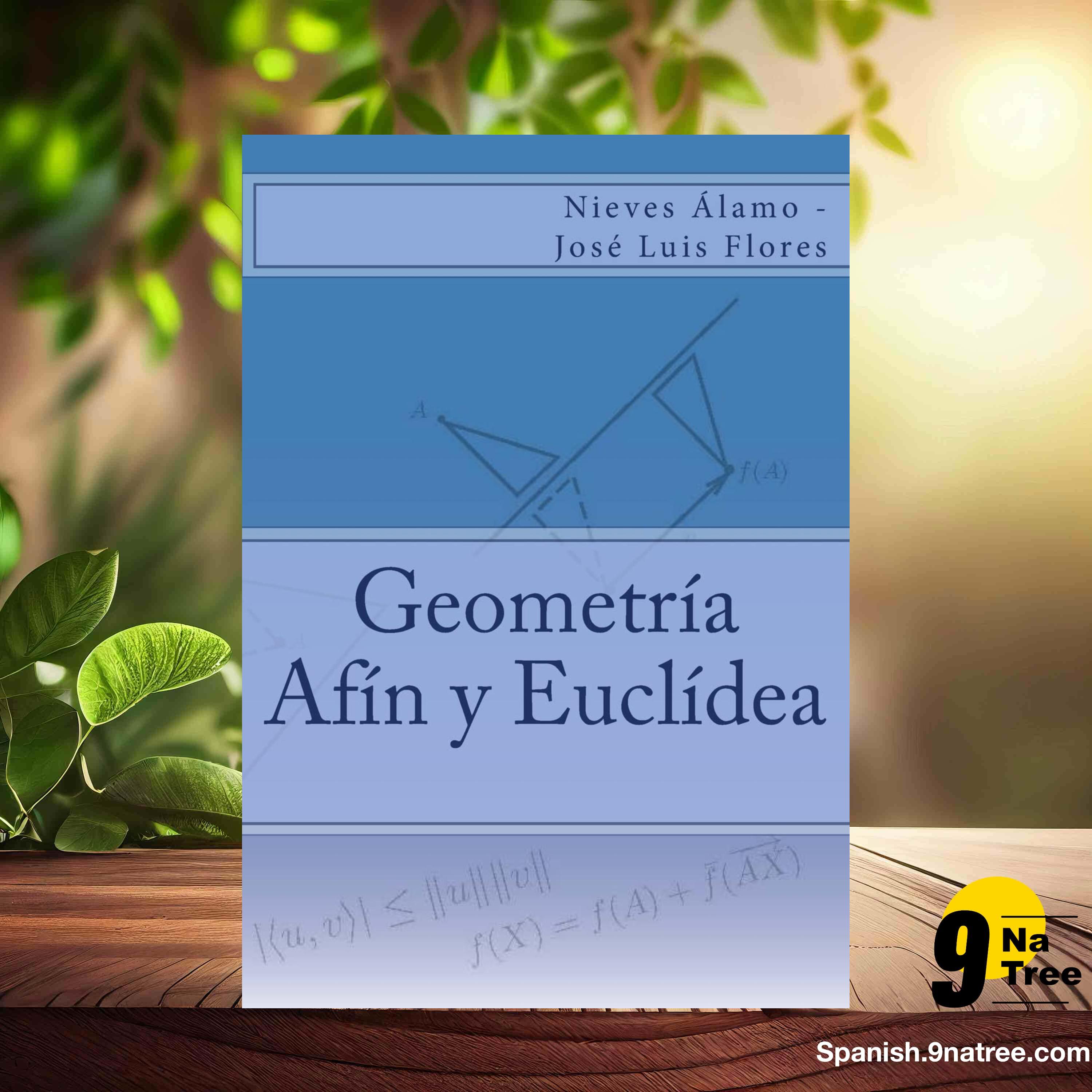 [Reseña] Geometría Afín y Euclídea (Nieves Álamo) Resumida. episode artwork