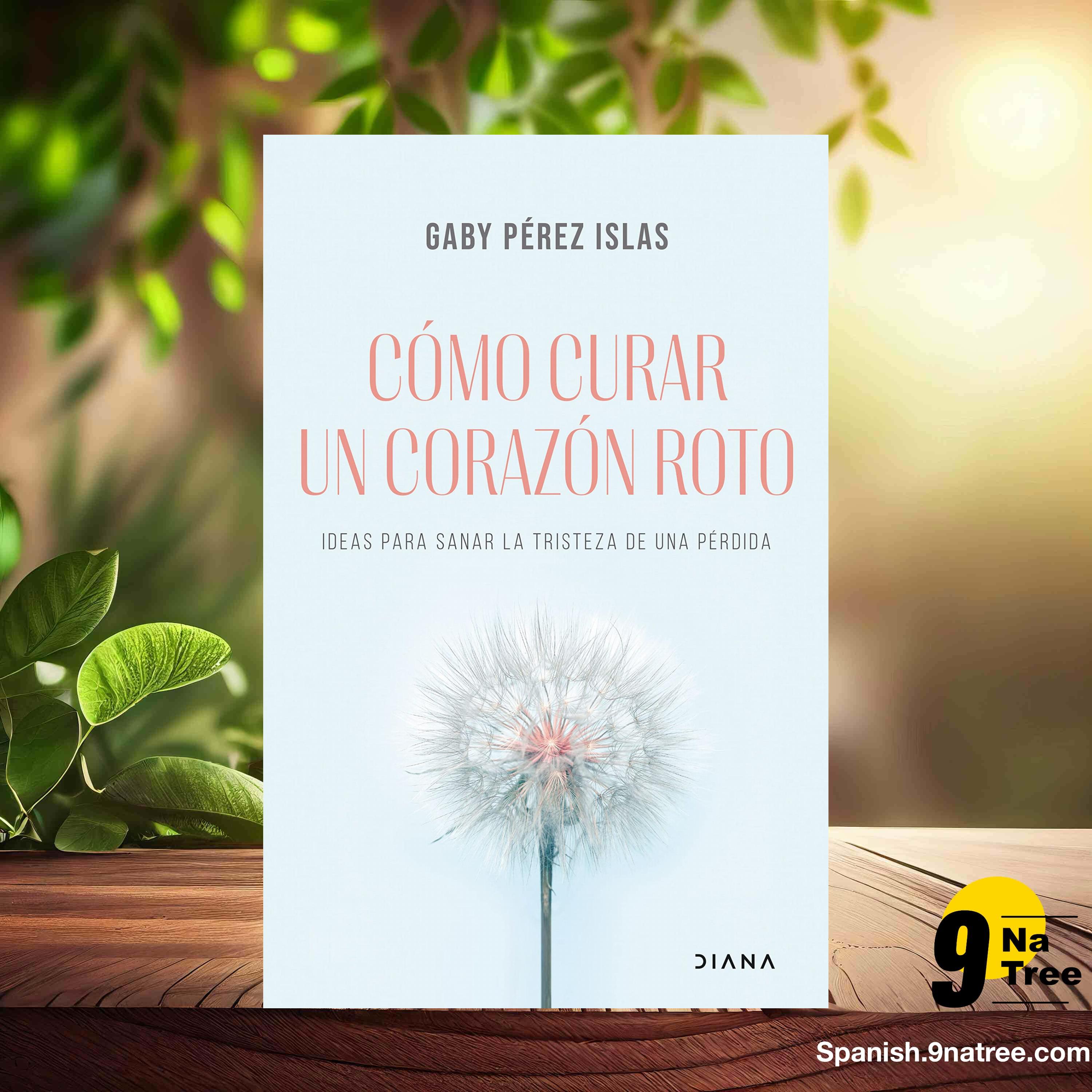 [Reseña] Cómo curar un corazón roto (Gaby Pérez Islas) Resumida. episode artwork