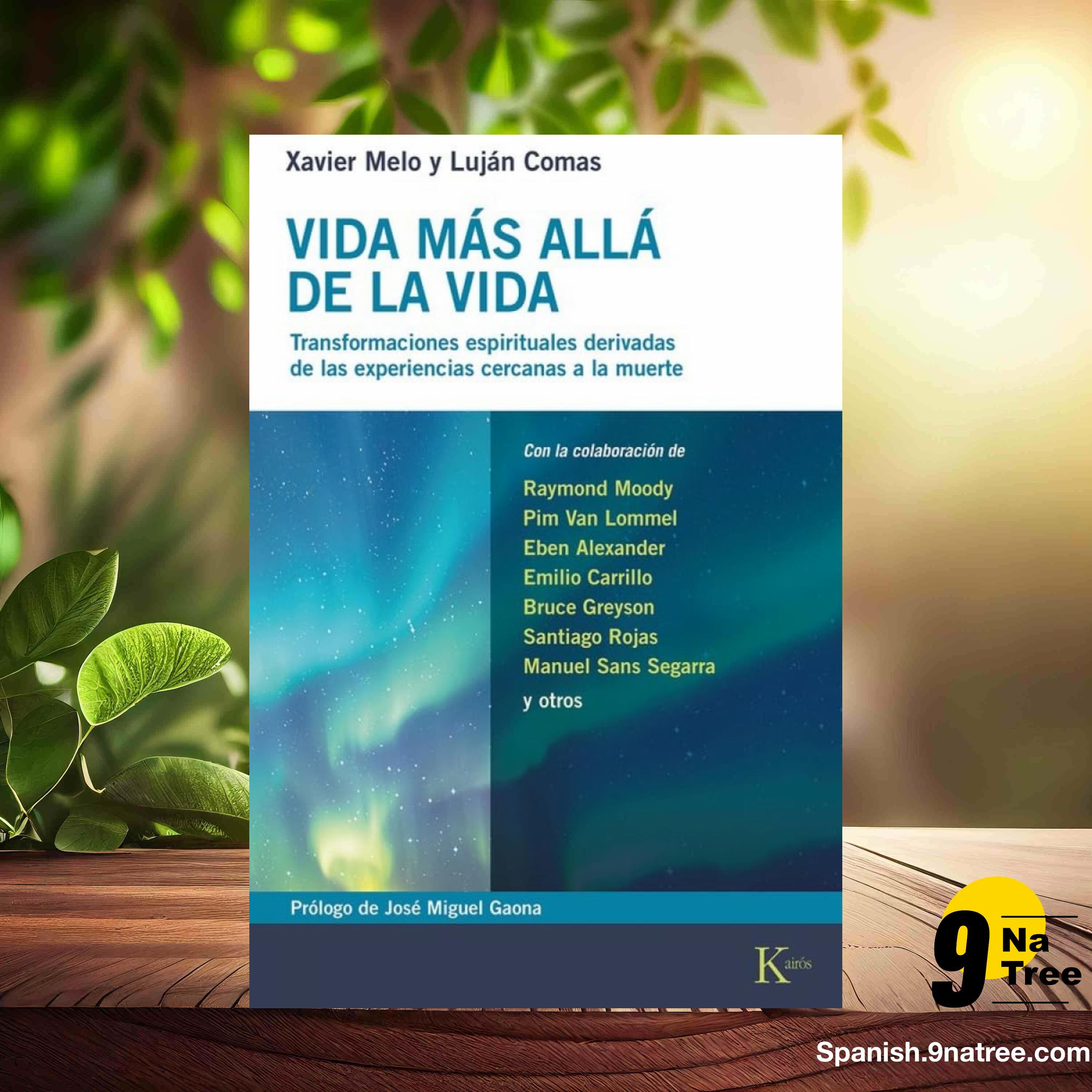 [Reseña] Vida más allá de la vida (Xavier Melo) Resumida. episode artwork