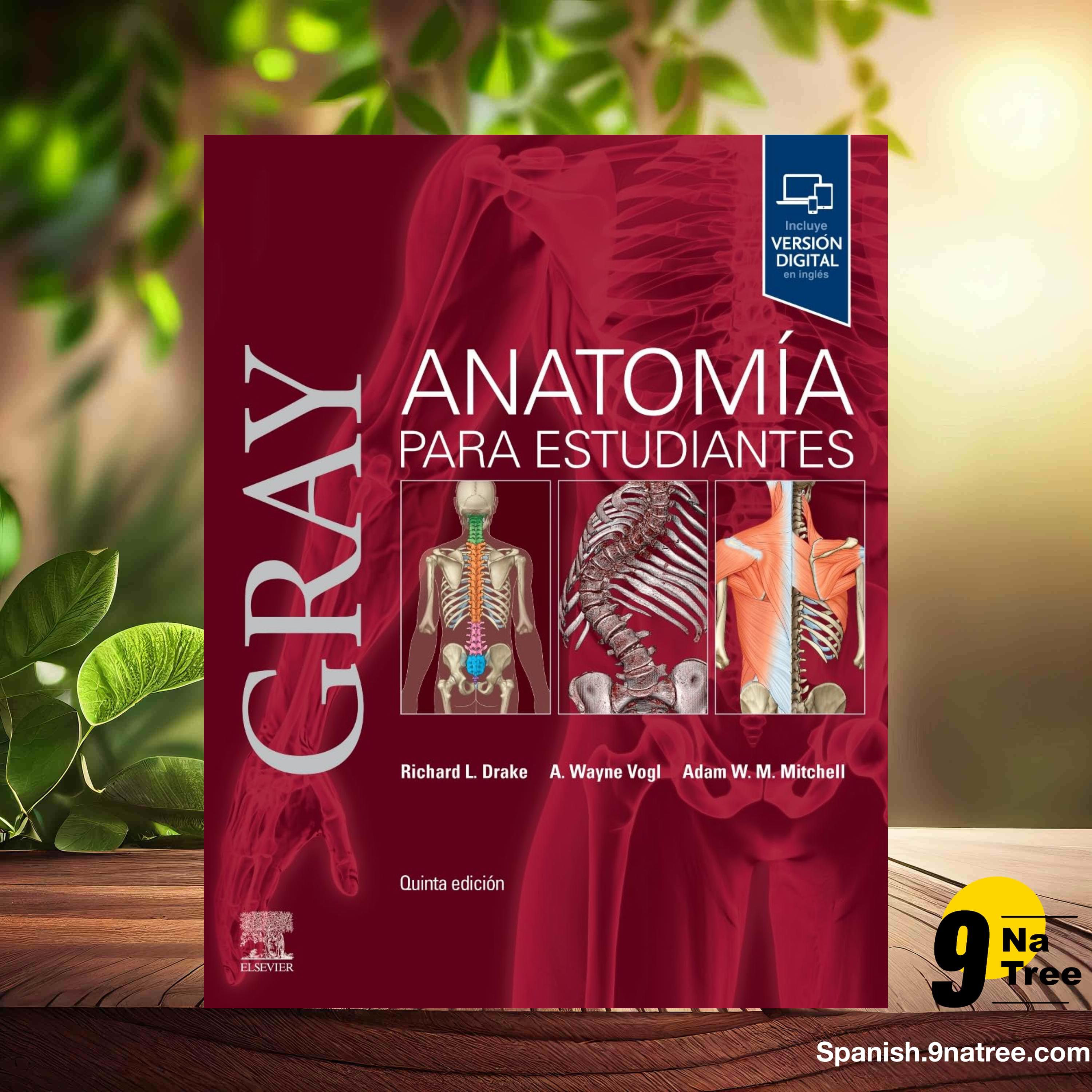 [Reseña] Gray. Anatomía para estudiantes (Richard L. Drake) Resumida. episode artwork