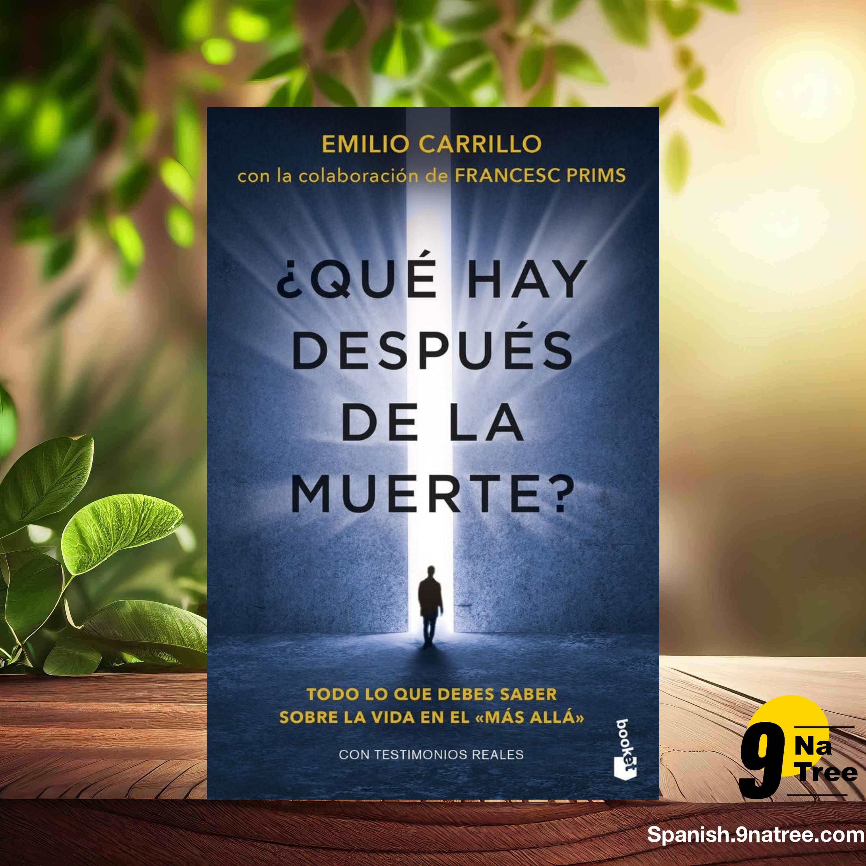 [Reseña] ¿Qué hay después de la muerte? (Emilio Carrillo Benito) Resumida. episode artwork