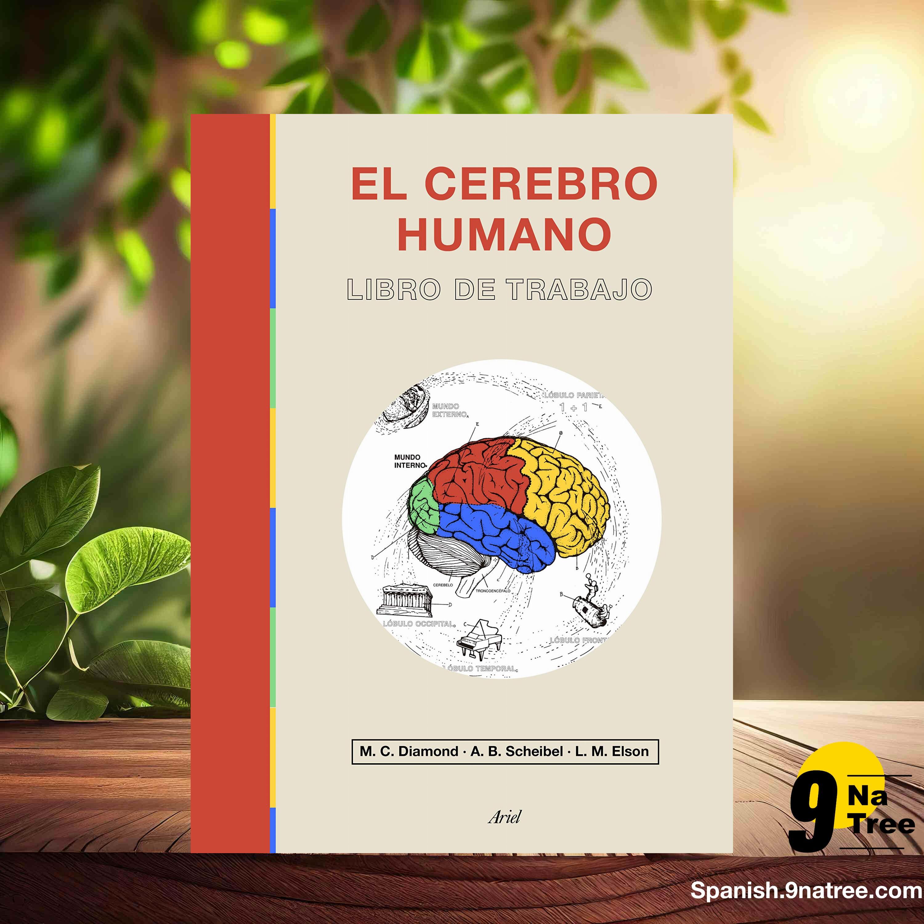 [Reseña] Anatomía & 100 estiramientos Esenciales  (Guillermo Seijas Albir) Resumida. episode artwork