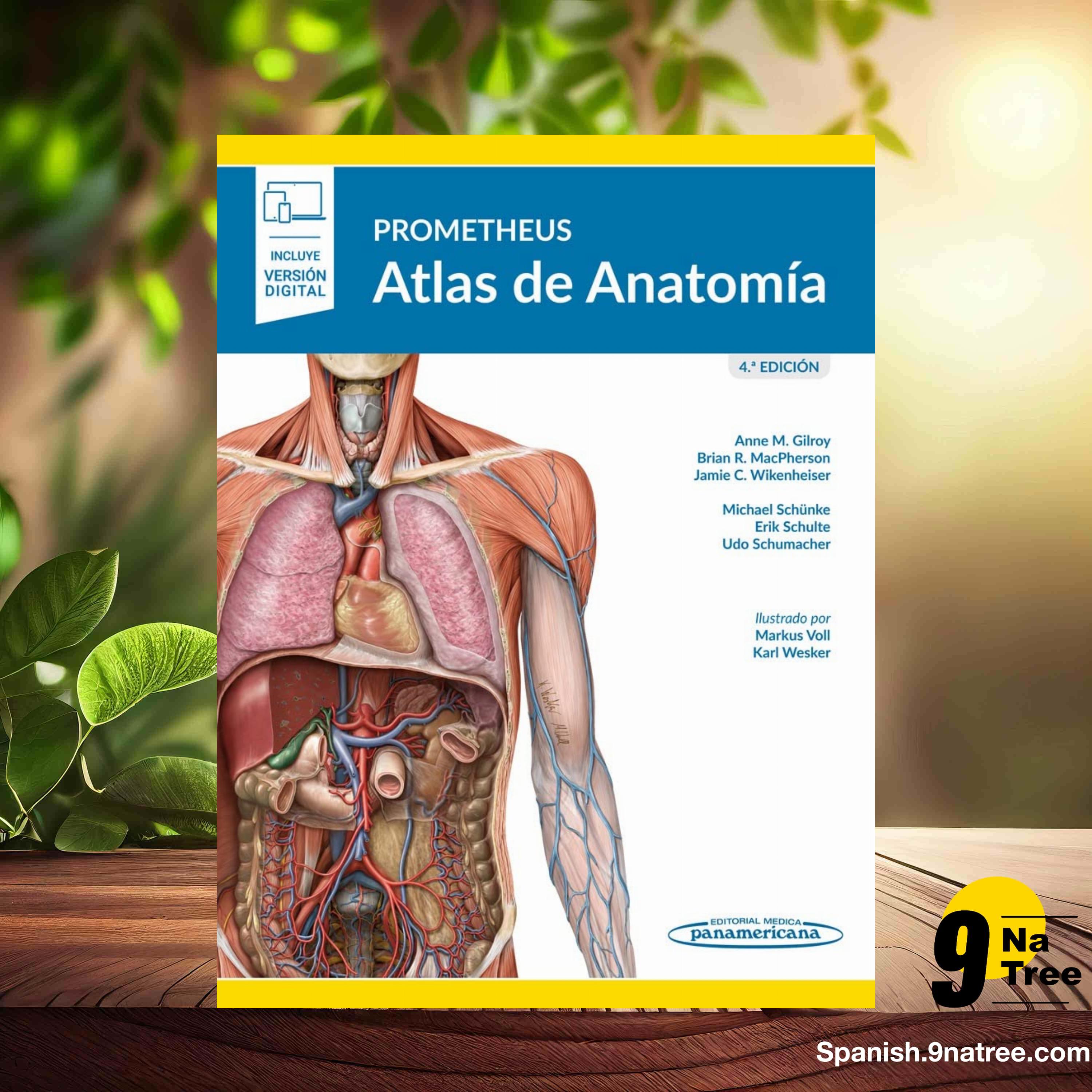 [Reseña] PROMETHEUS ATLAS DE ANATOMIA (Anne M. Gilroy) Resumida. episode artwork
