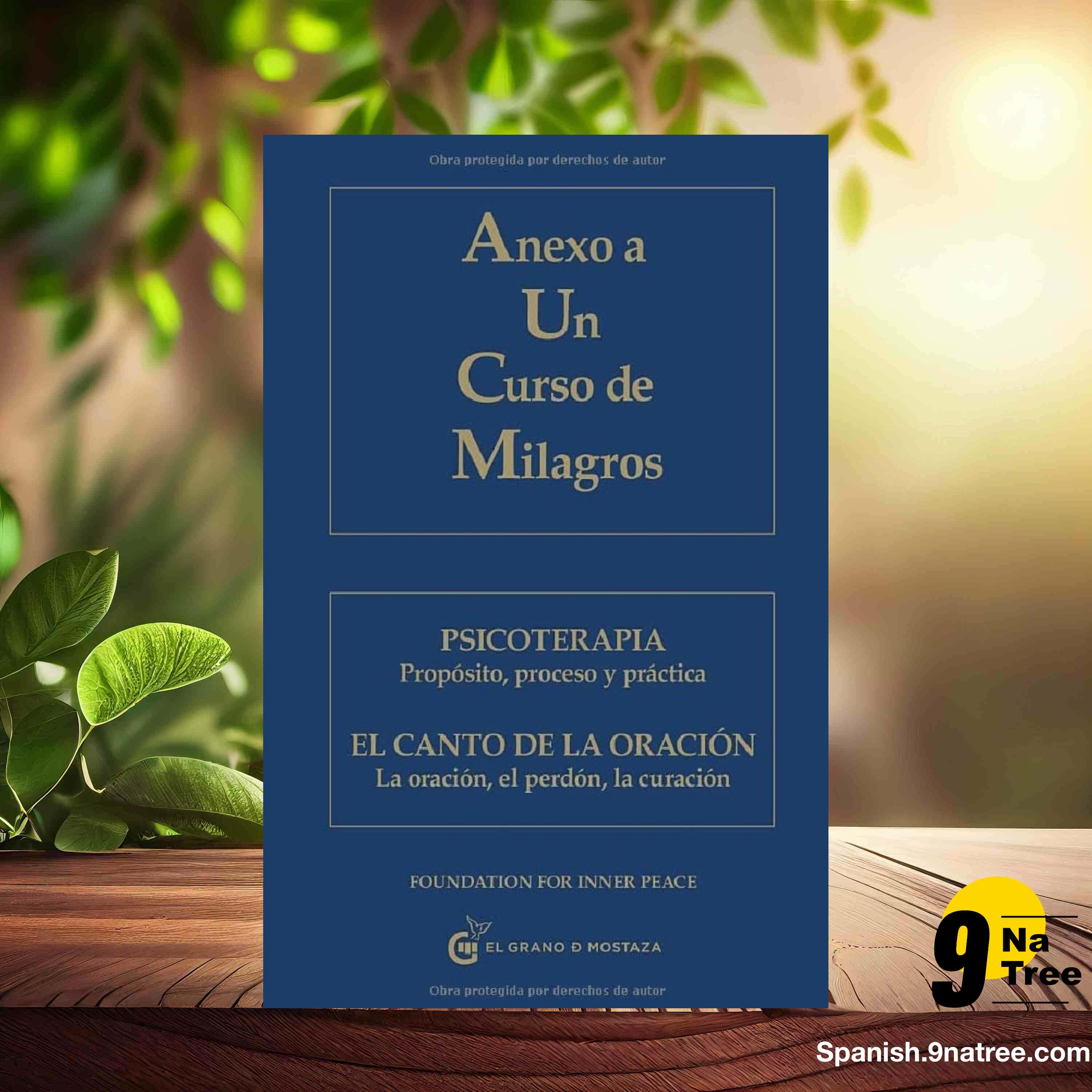 [Reseña] Anexo a un curso de milagros (Aa.Vv) Resumida. episode artwork