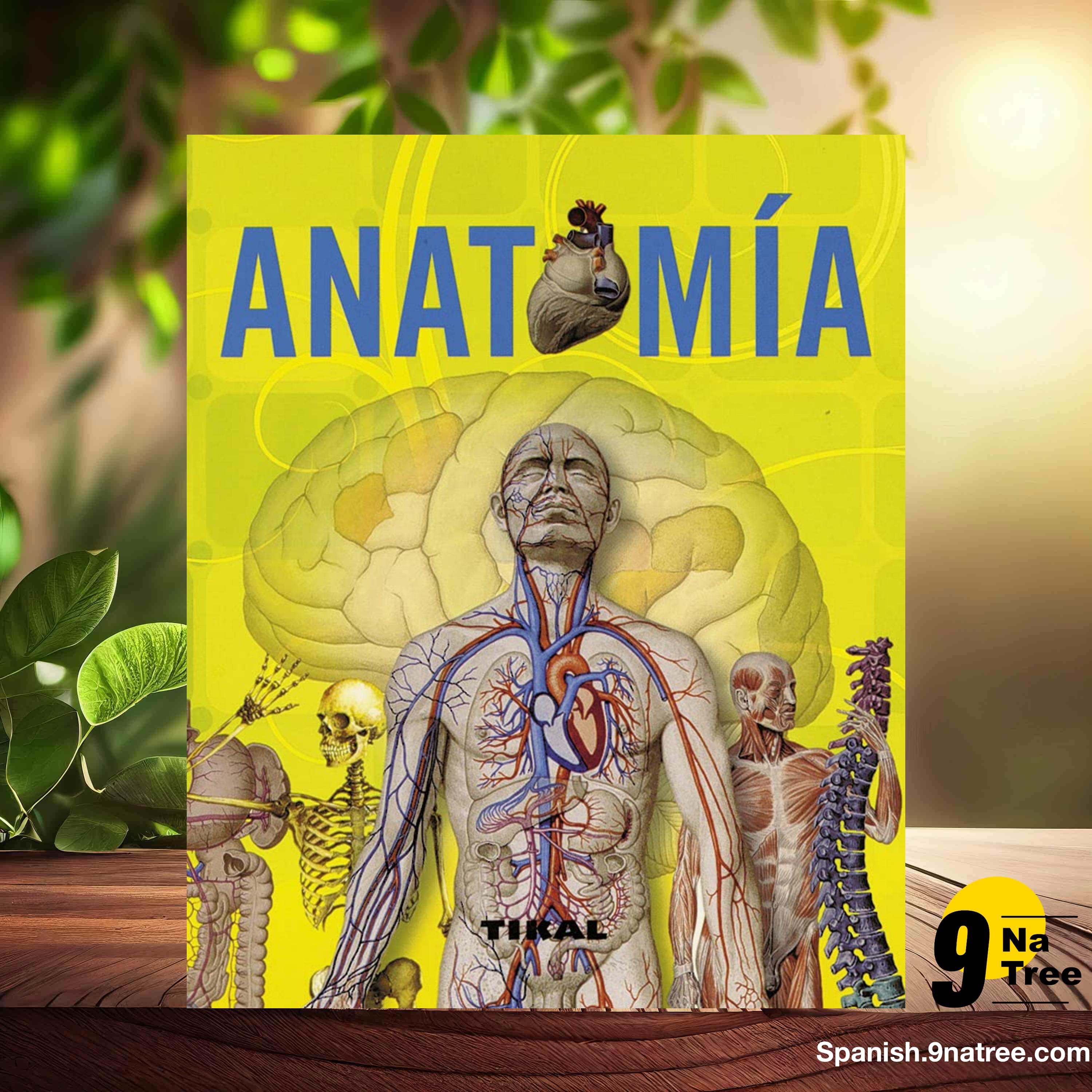 [Reseña] Anatomía (Adriana Rigutti) Resumida. episode artwork