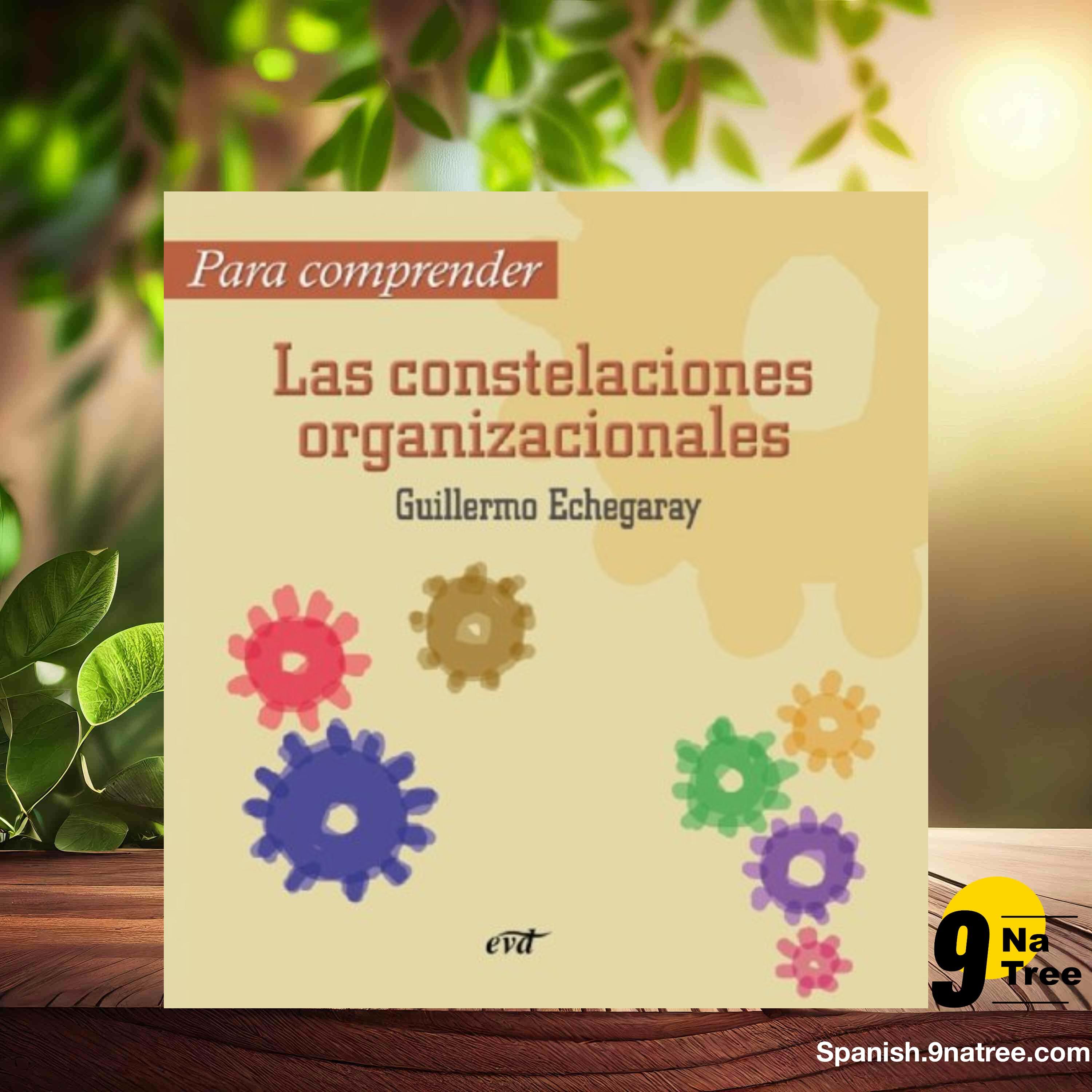 [Reseña] Para comprender las constelaciones organizacionales (Guillermo Echegaray Inda) Resumida. episode artwork