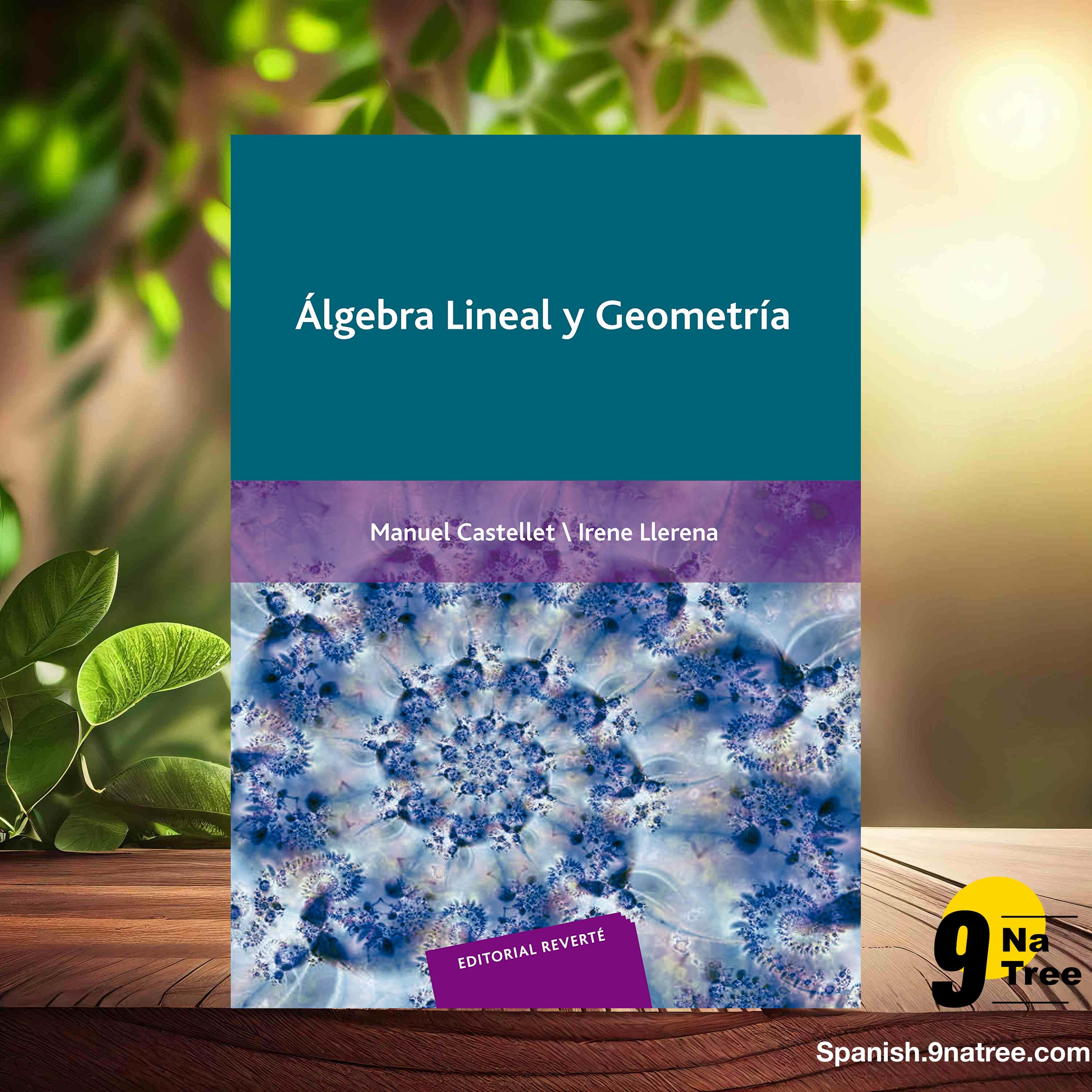 [Reseña] Álgebra lineal y geometría (Manuel Castellet) Resumida. episode artwork