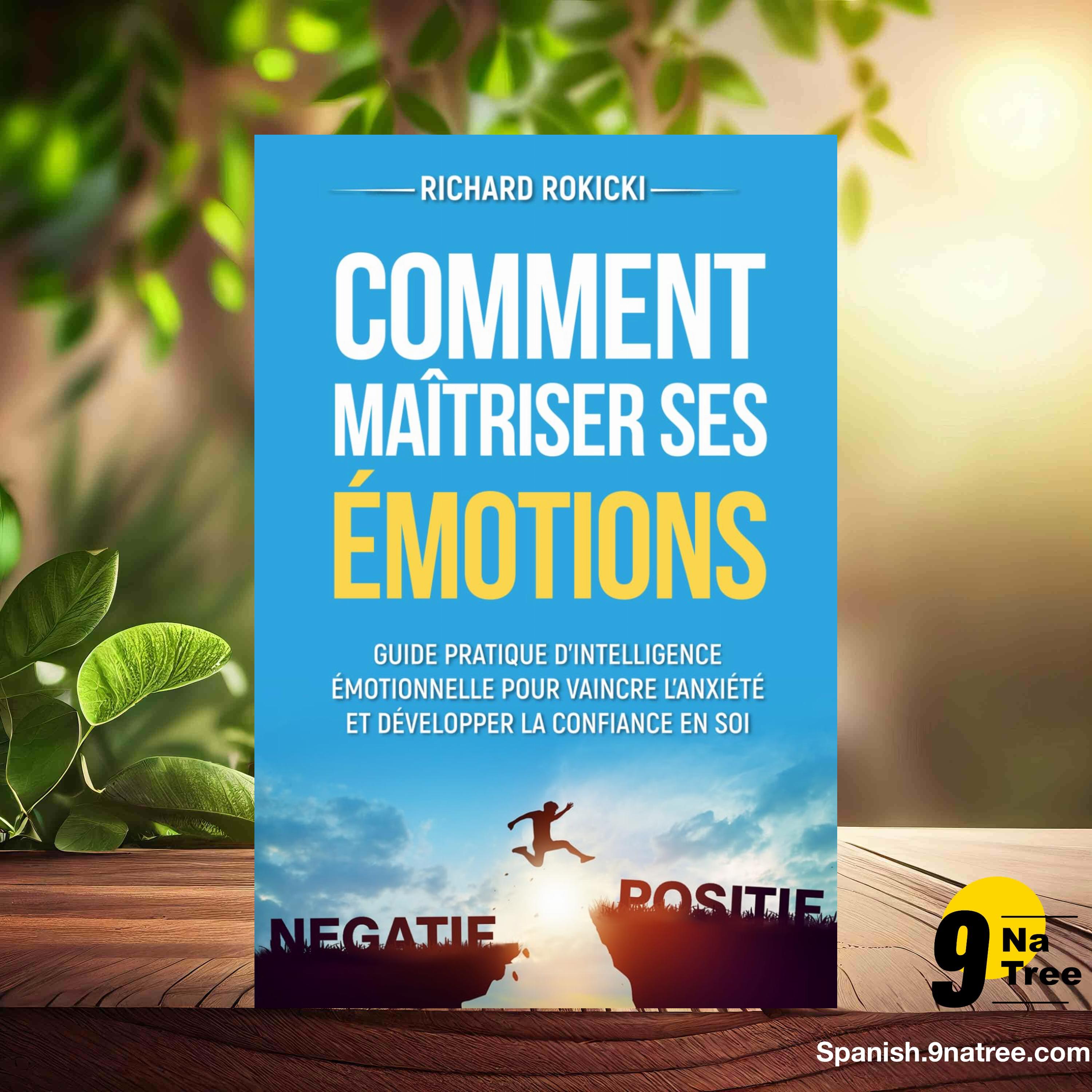 [Reseña] Comment maîtriser ses émotions (Richard Rokicki) Resumida. episode artwork