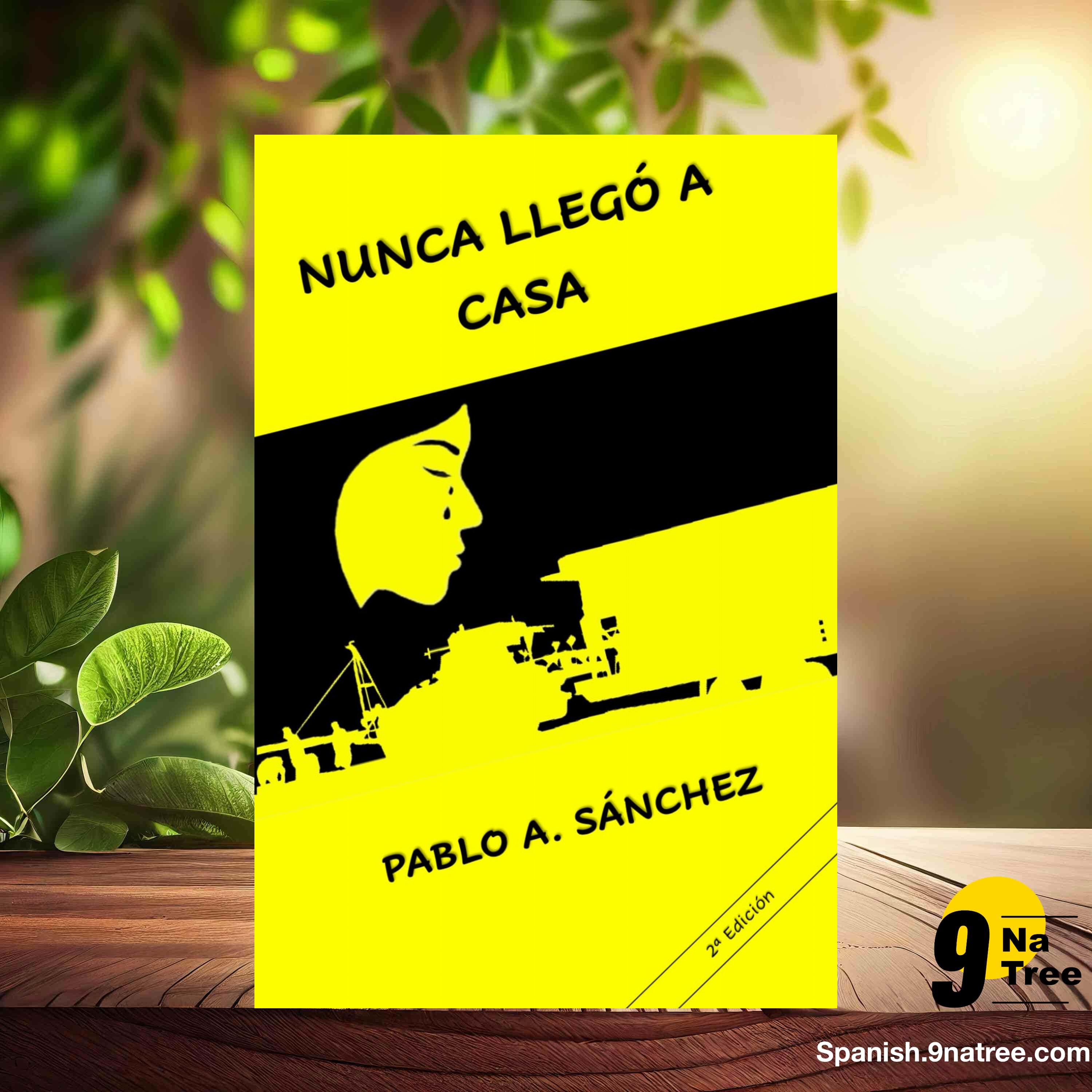 [Reseña] NUNCA LLEGÓ A CASA (Sr Pablo Alberto Sanchez Donate) Resumida. episode artwork