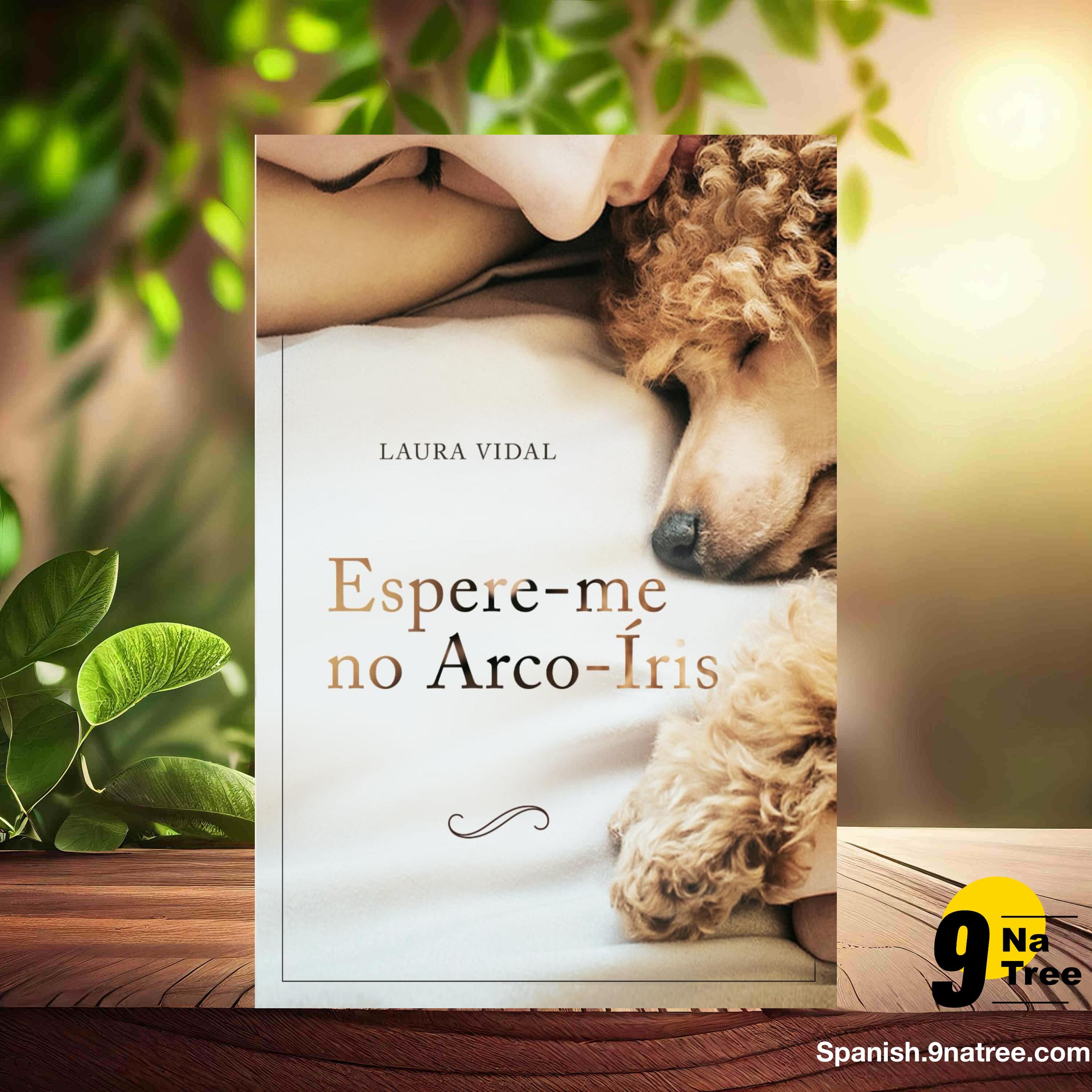 [Reseña] Espere-me no Arco-Íris (Laura Vidal) Resumida. episode artwork