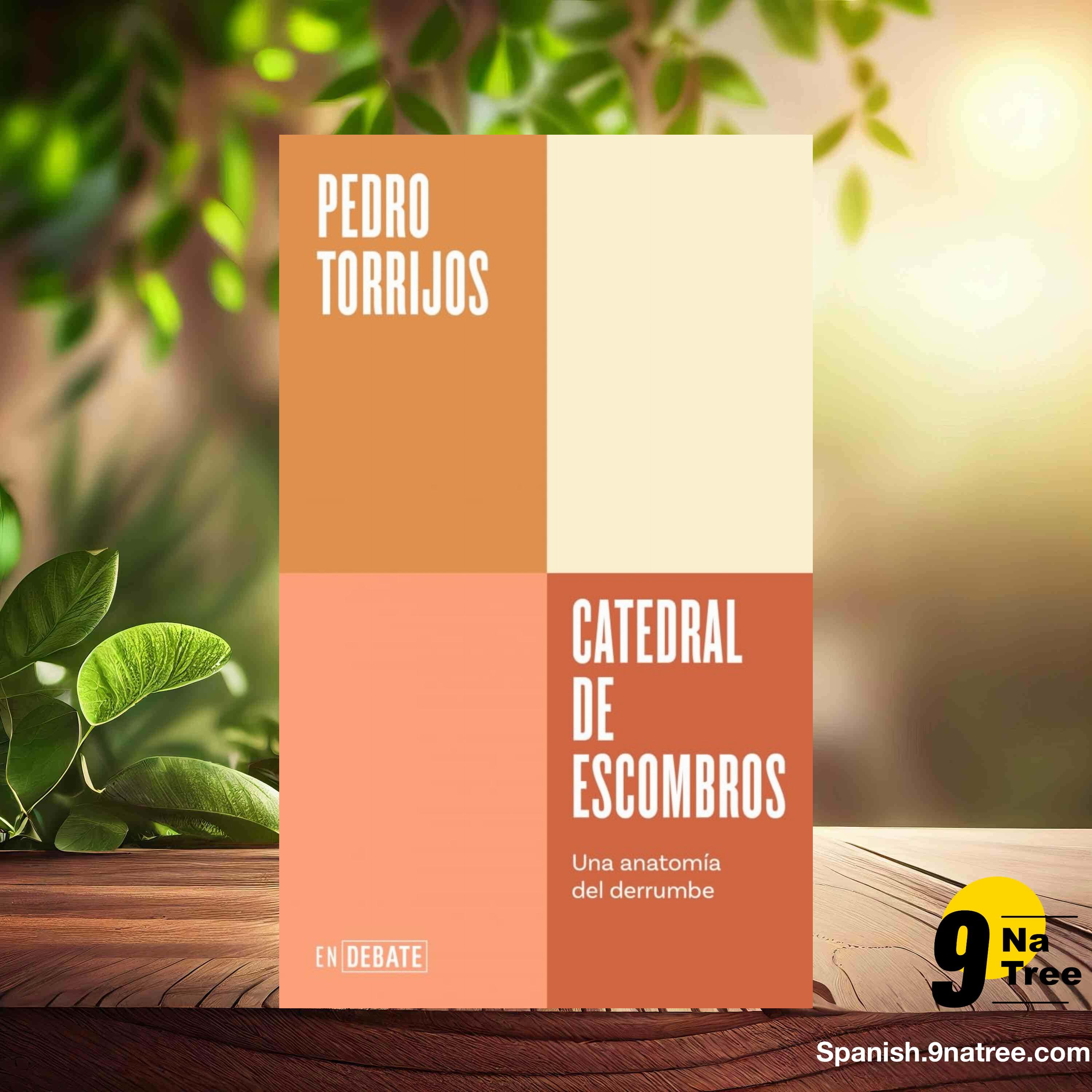 [Reseña] Catedral de escombros : Una anatomía del derrumbe (Pedro Torrijos) Resumida. episode artwork